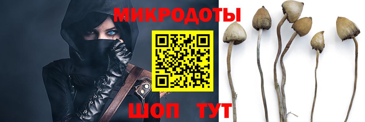 Галлюциногенные грибы Cubensis Белая Калитва